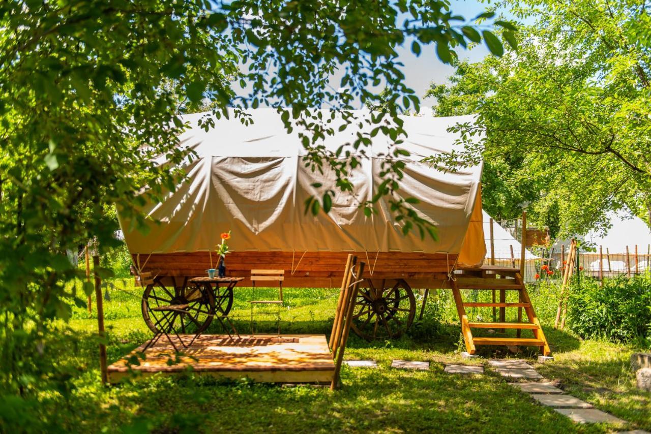 Dragonfly Gardens - The Wagons Hotel Brassó Kültér fotó