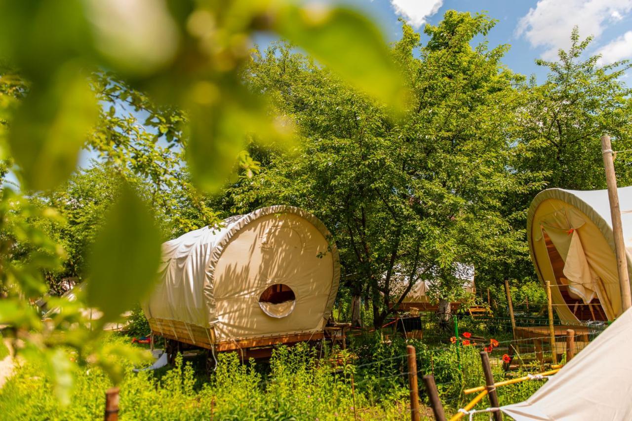 Dragonfly Gardens - The Wagons Hotel Brassó Kültér fotó