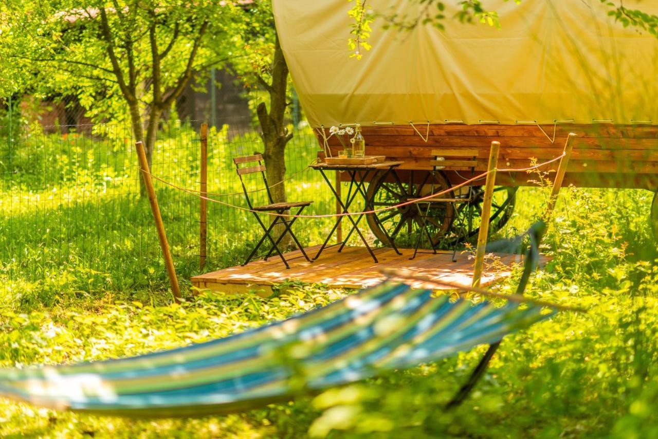 Dragonfly Gardens - The Wagons Hotel Brassó Kültér fotó