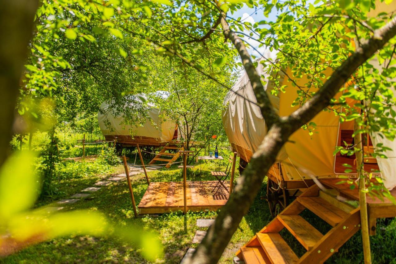 Dragonfly Gardens - The Wagons Hotel Brassó Kültér fotó