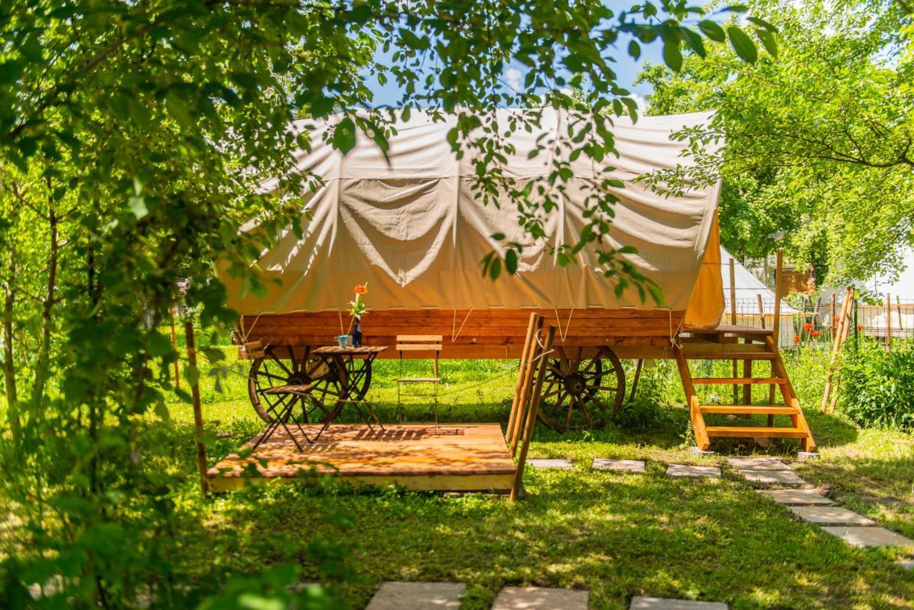 Dragonfly Gardens - The Wagons Hotel Brassó Kültér fotó