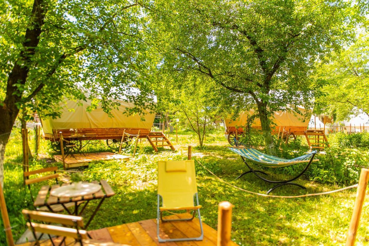 Dragonfly Gardens - The Wagons Hotel Brassó Kültér fotó