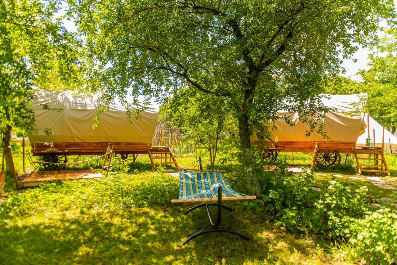 Dragonfly Gardens - The Wagons Hotel Brassó Kültér fotó