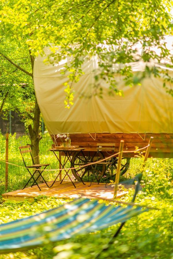 Dragonfly Gardens - The Wagons Hotel Brassó Kültér fotó