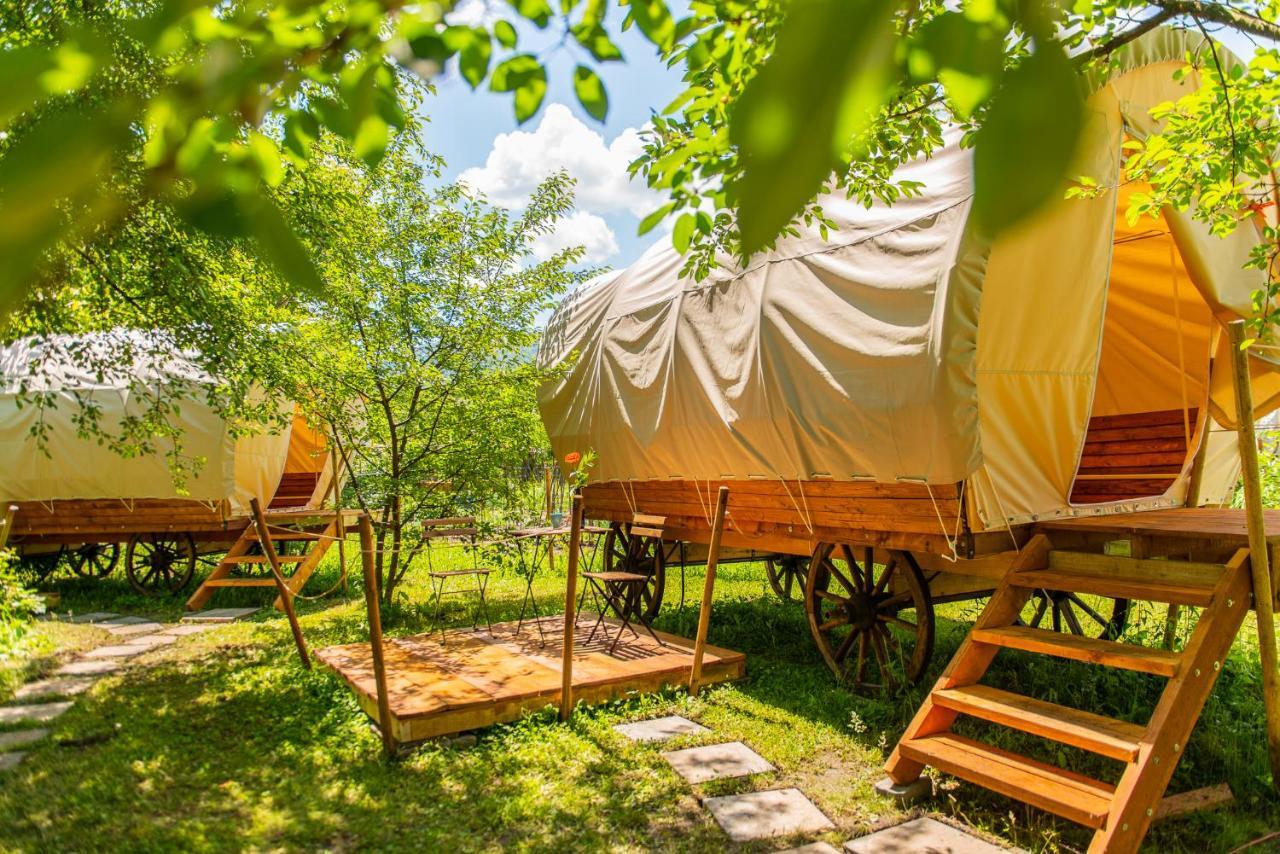 Dragonfly Gardens - The Wagons Hotel Brassó Kültér fotó