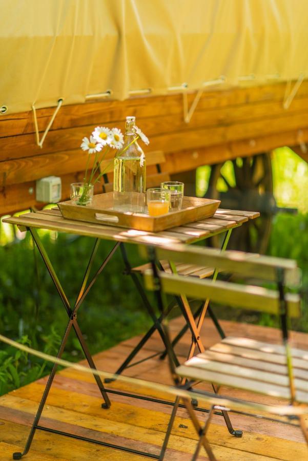 Dragonfly Gardens - The Wagons Hotel Brassó Kültér fotó