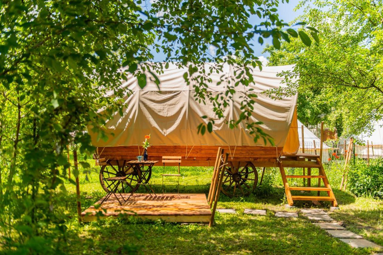 Dragonfly Gardens - The Wagons Hotel Brassó Kültér fotó