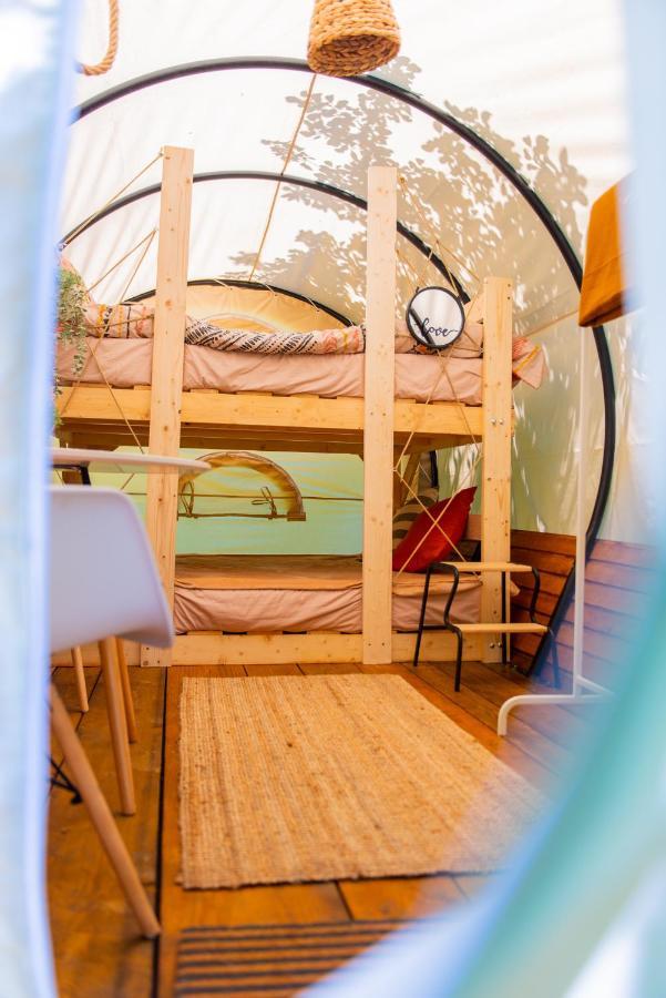 Dragonfly Gardens - The Wagons Hotel Brassó Kültér fotó