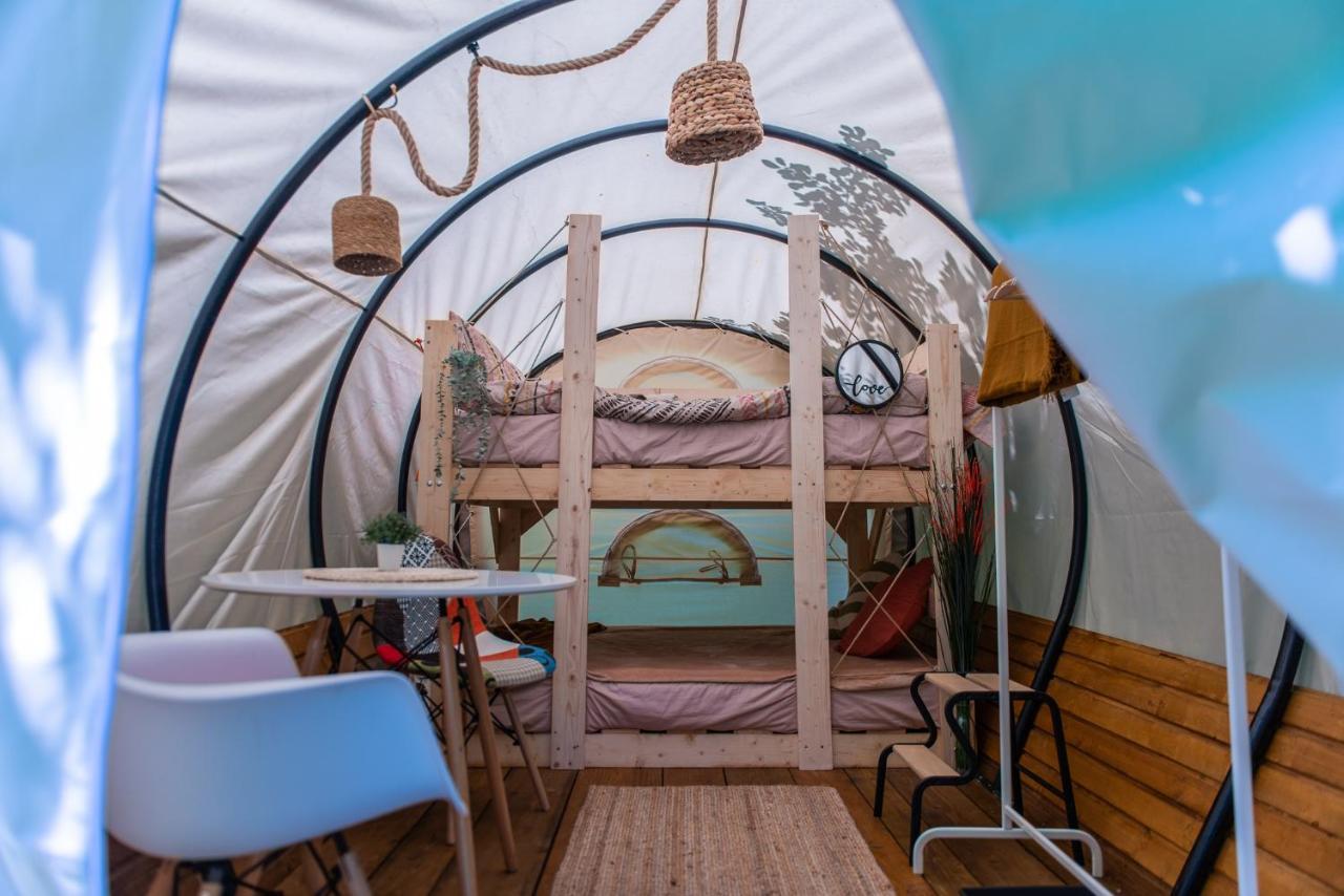 Dragonfly Gardens - The Wagons Hotel Brassó Kültér fotó