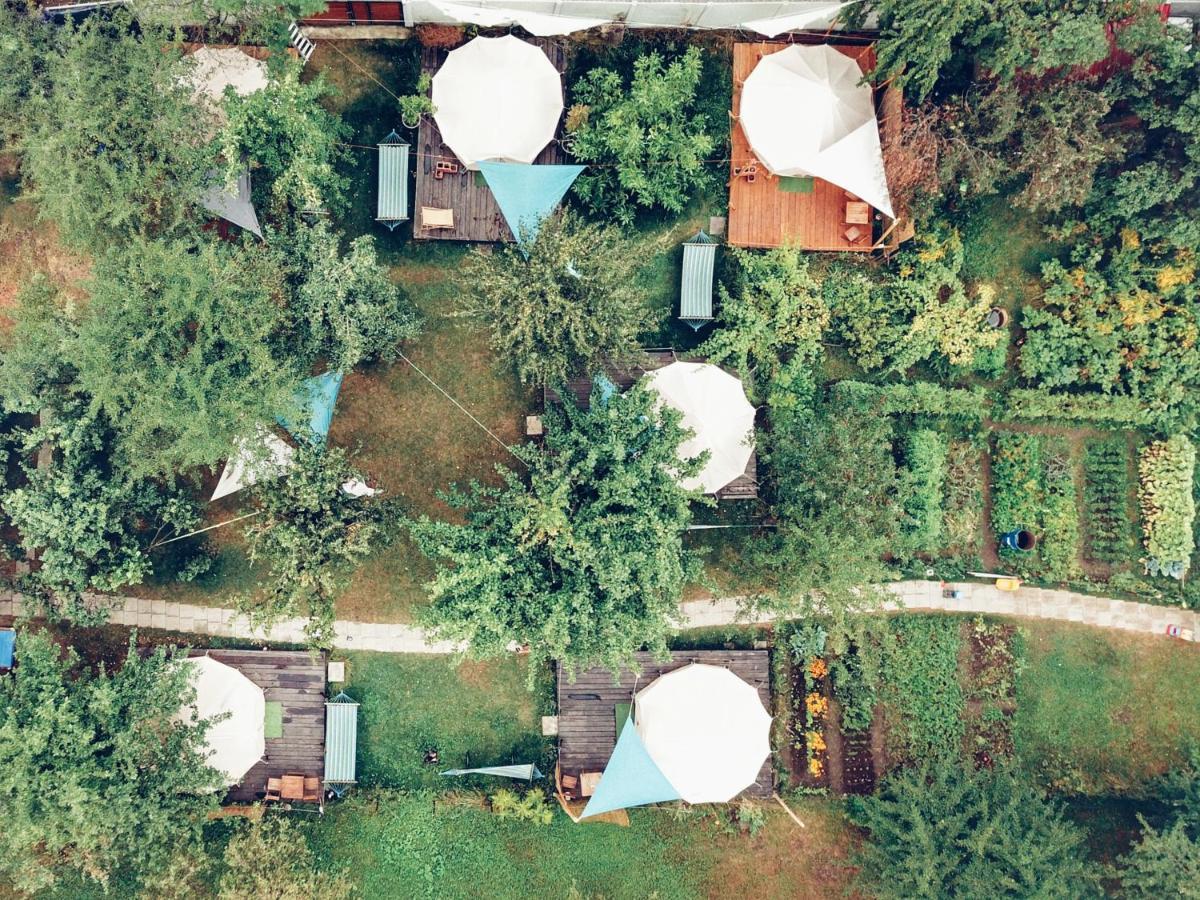 Dragonfly Gardens - The Wagons Hotel Brassó Kültér fotó