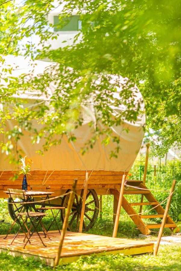 Dragonfly Gardens - The Wagons Hotel Brassó Kültér fotó