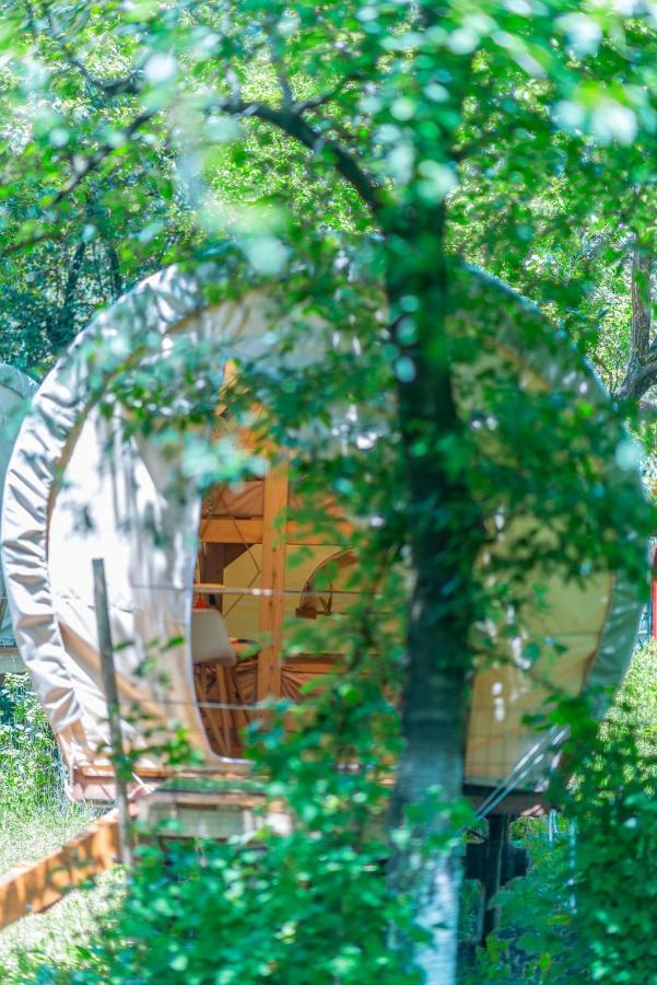 Dragonfly Gardens - The Wagons Hotel Brassó Kültér fotó