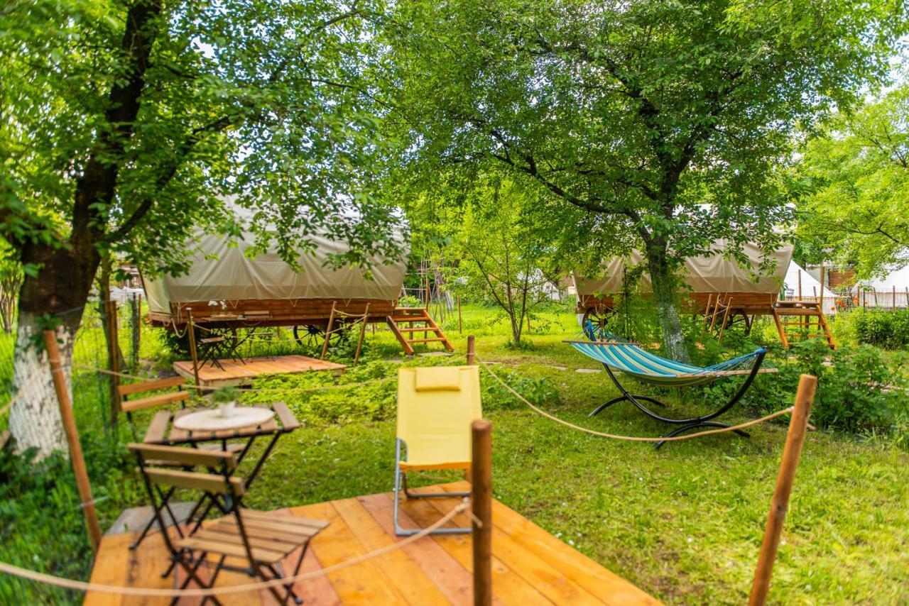 Dragonfly Gardens - The Wagons Hotel Brassó Kültér fotó