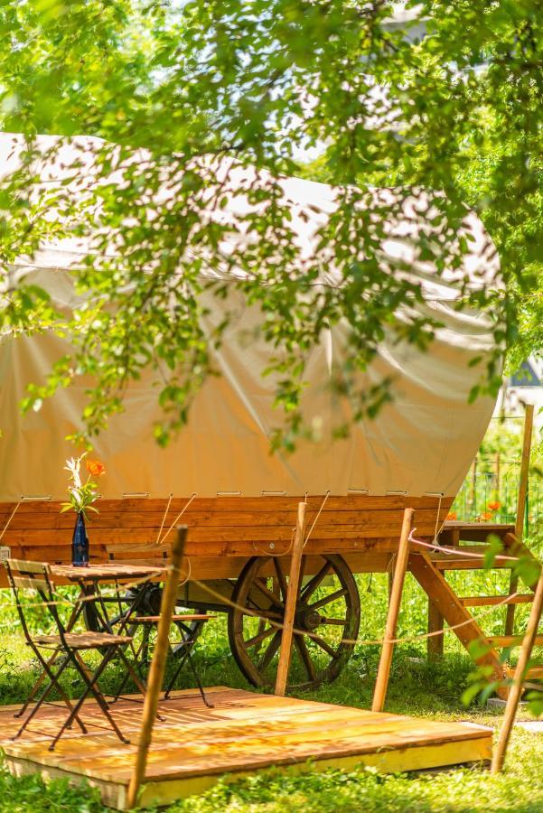 Dragonfly Gardens - The Wagons Hotel Brassó Kültér fotó