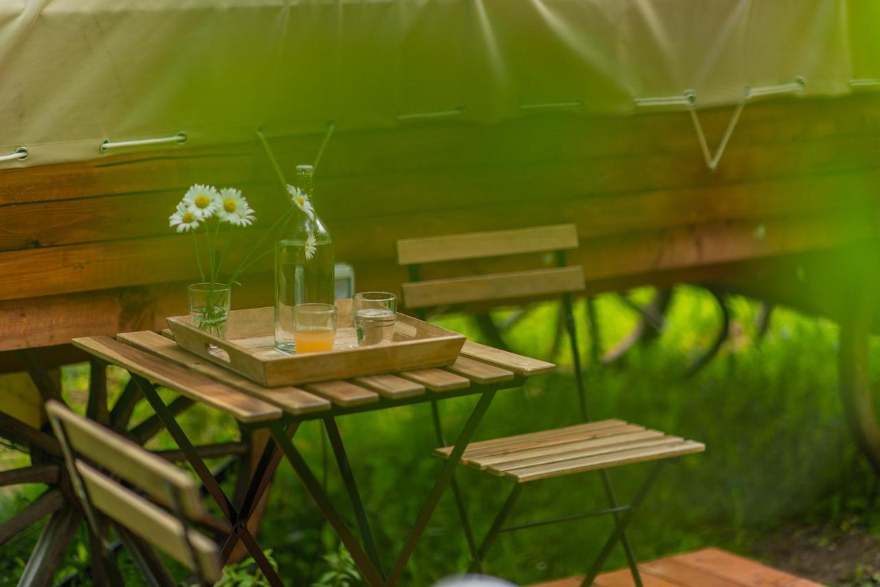 Dragonfly Gardens - The Wagons Hotel Brassó Kültér fotó