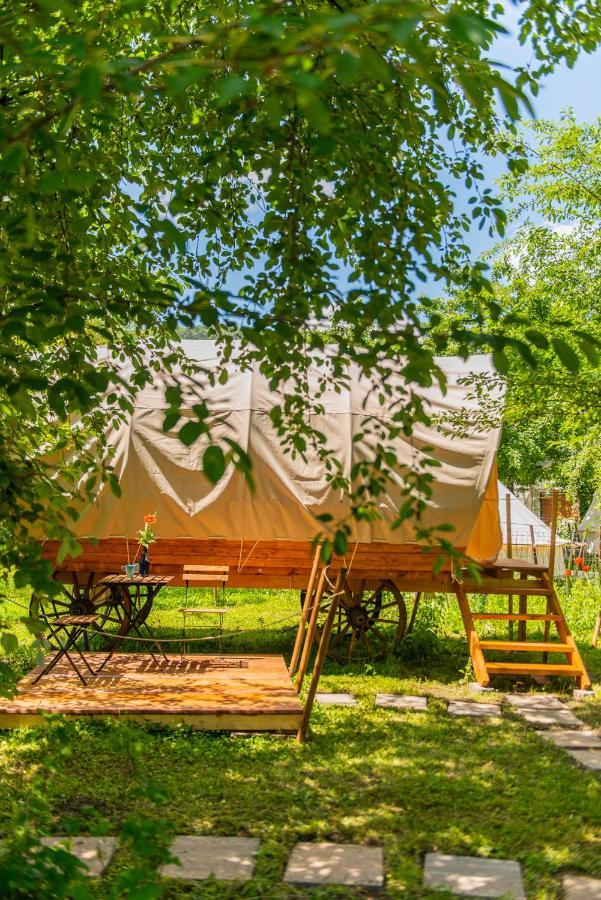 Dragonfly Gardens - The Wagons Hotel Brassó Kültér fotó