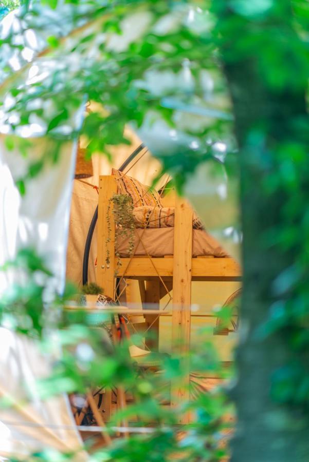 Dragonfly Gardens - The Wagons Hotel Brassó Kültér fotó