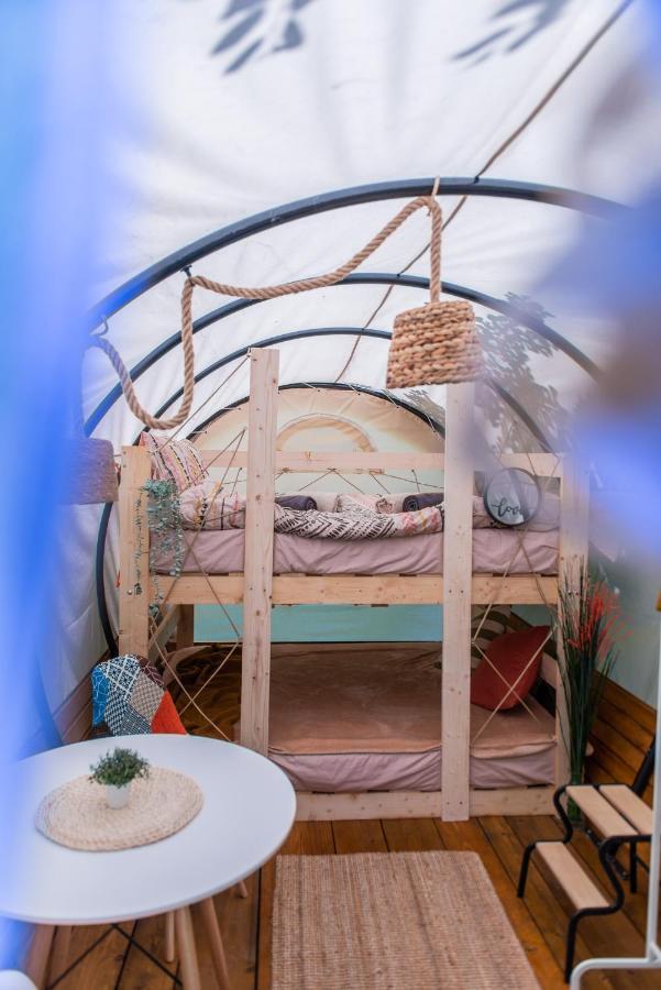 Dragonfly Gardens - The Wagons Hotel Brassó Kültér fotó