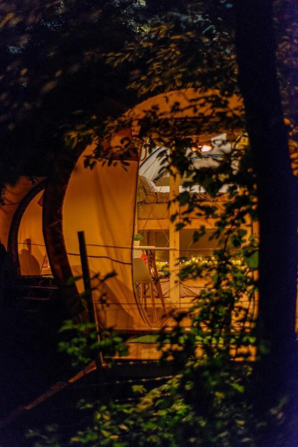 Dragonfly Gardens - The Wagons Hotel Brassó Kültér fotó