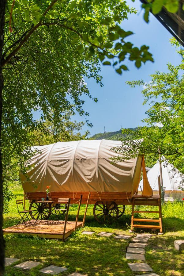 Dragonfly Gardens - The Wagons Hotel Brassó Kültér fotó