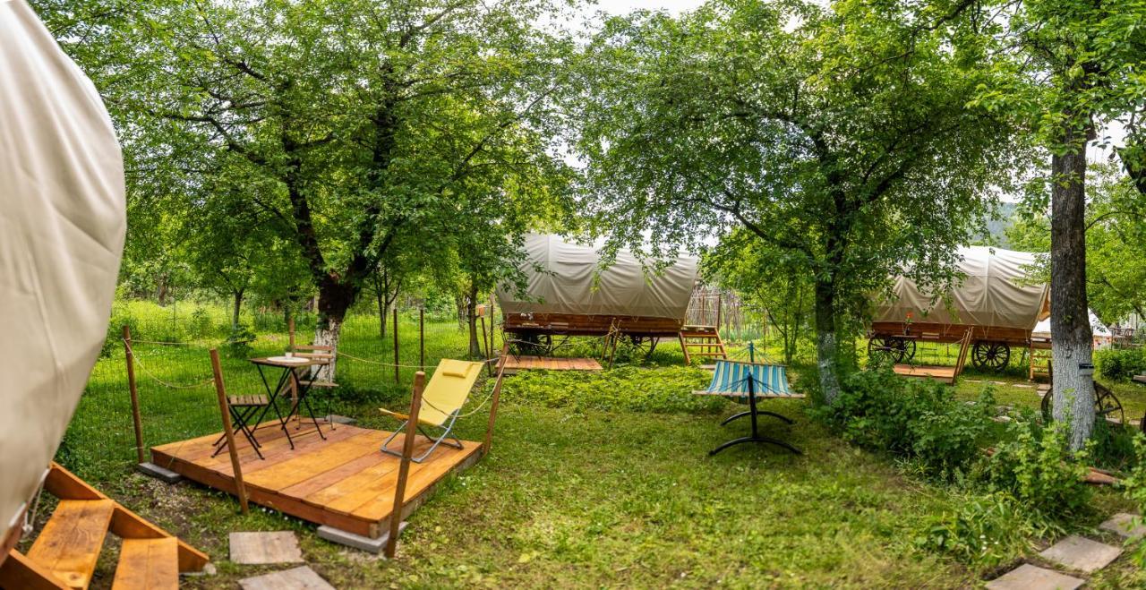Dragonfly Gardens - The Wagons Hotel Brassó Kültér fotó
